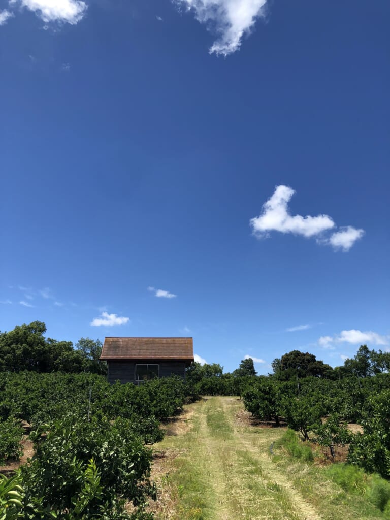 ヘッダーメニュー1