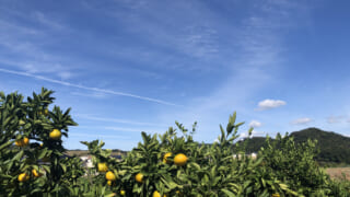 ヘッダーメニュー4